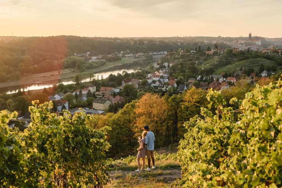 Sonnenuntergang in den Weinbergen.