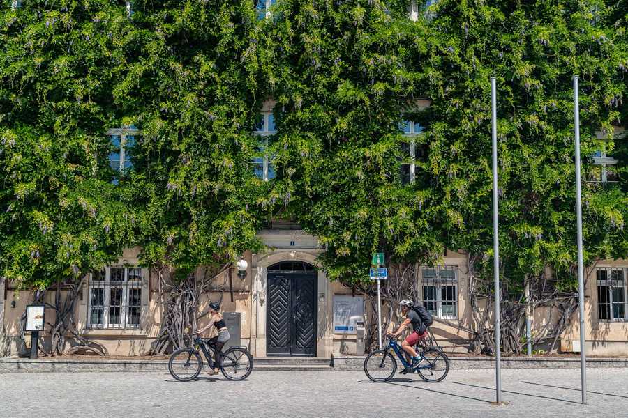 Die grüne Hausfront des Riesaer Rathaus. (Foto: Maximilian Semsch)